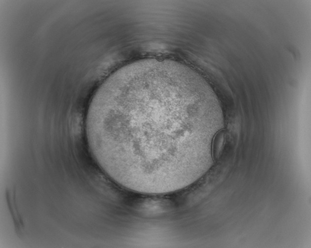 X0000113900708200910151356