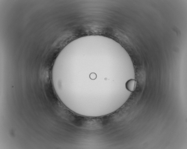 X0000113900709200910151356