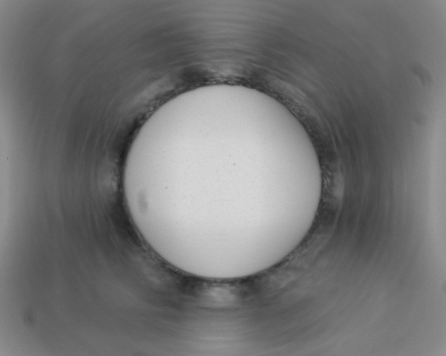 X0000113900710200910151356