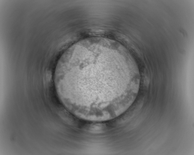 X0000113900711200910151356