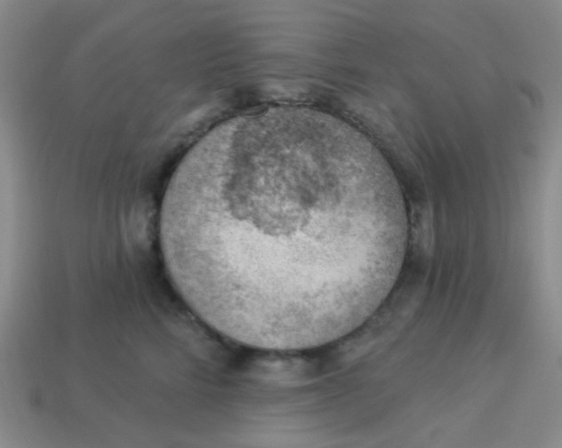 X0000113900712200910151356