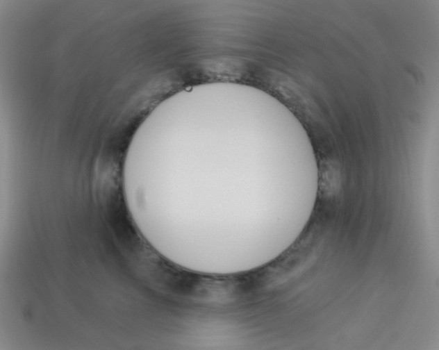 X0000113900713200910151356