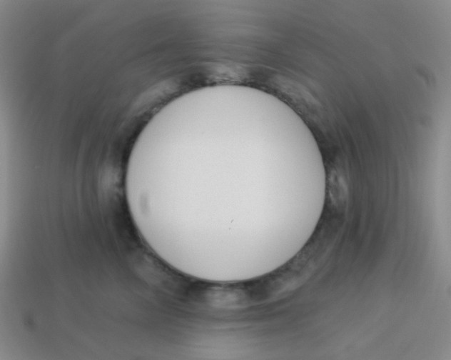 X0000113900714200910151356