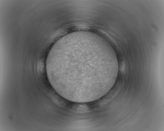 X0000113900715200910151356