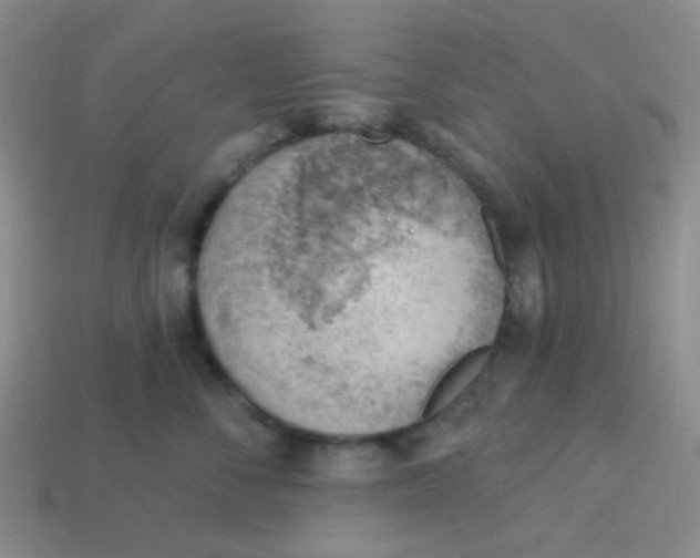 X0000113900716200910151356