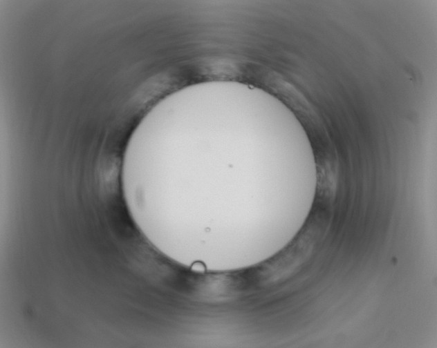 X0000113900717200910151356