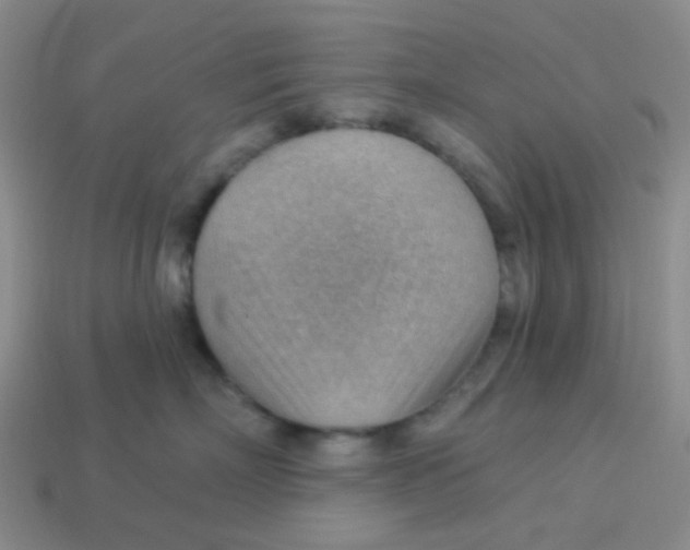 X0000113900718200910151356