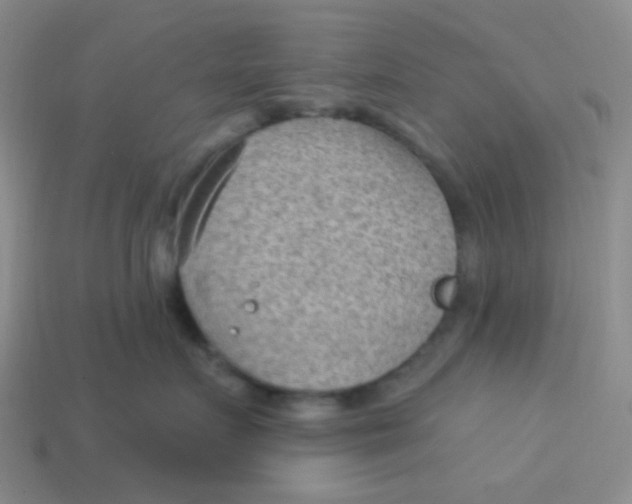 X0000113900719200910151356