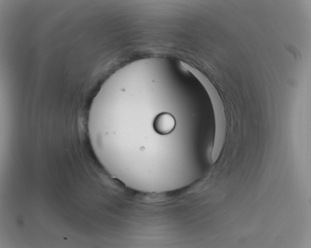 X0000113900720200910151356