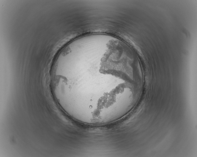 X0000113900721200910151355