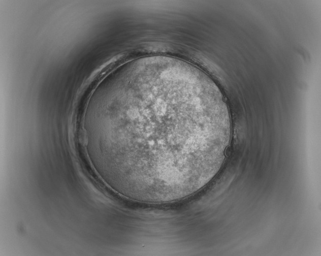 X0000113900722200910151355