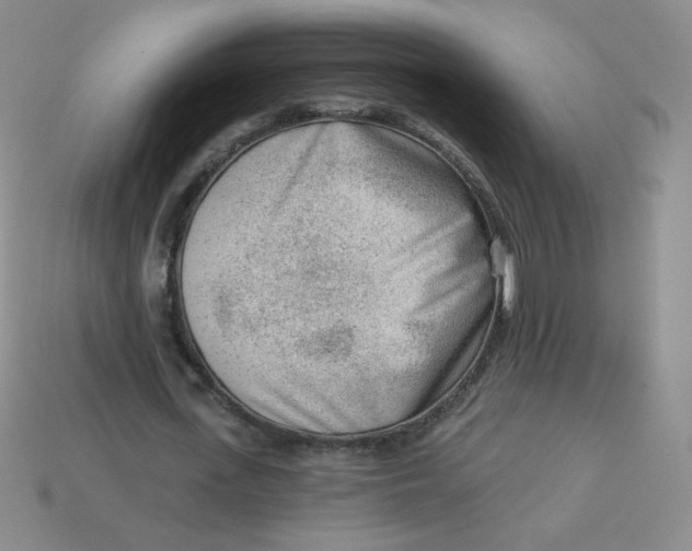 X0000113900723200910151355