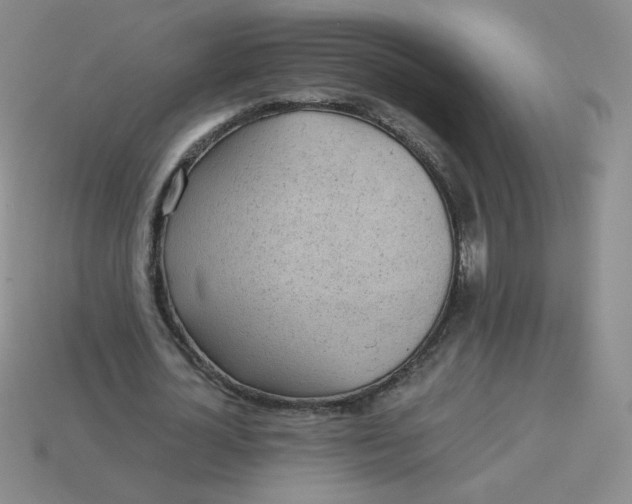 X0000113900724200910151355