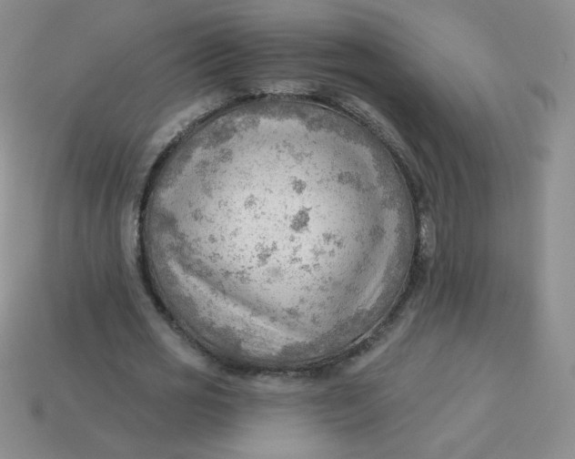 X0000113900725200910151355