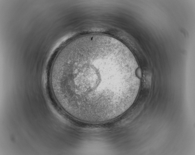 X0000113900726200910151355