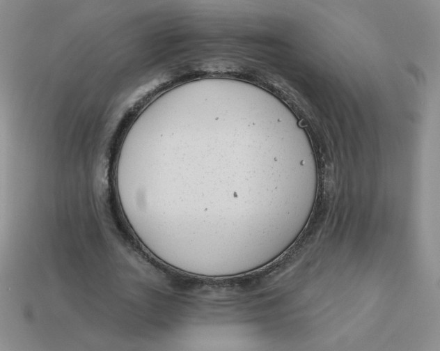 X0000113900727200910151355