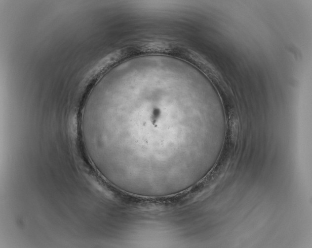 X0000113900729200910151355