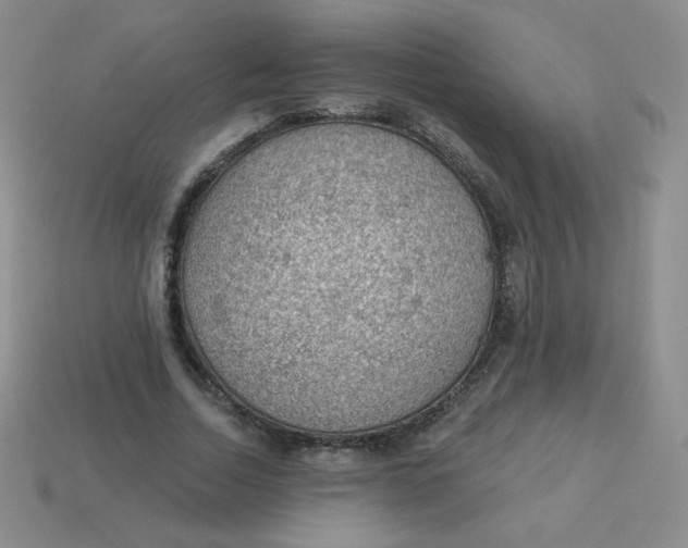 X0000113900730200910151355