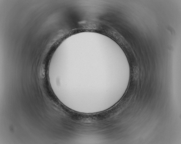 X0000113900731200910151355