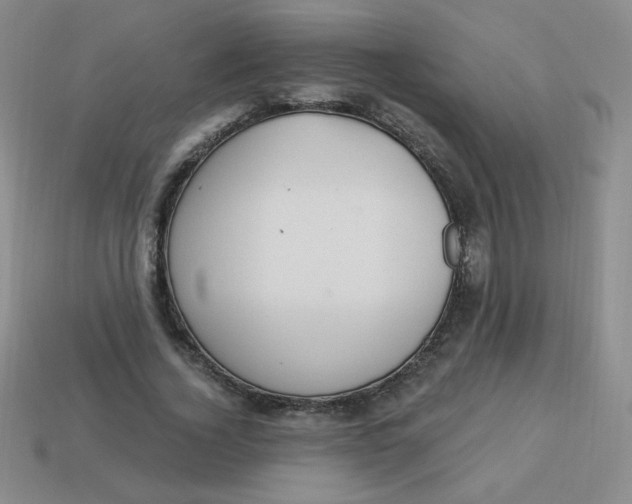 X0000113900732200910151355