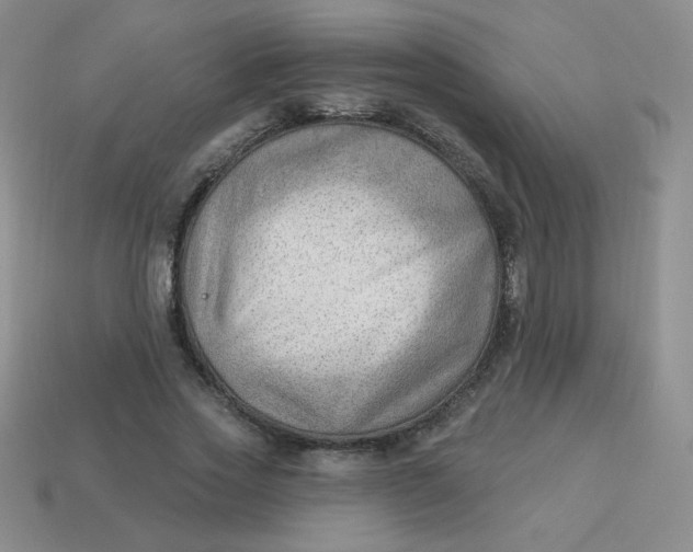 X0000113900733200910151355