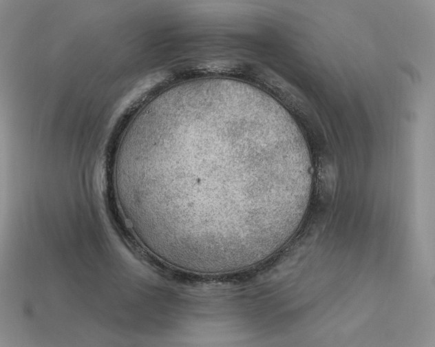 X0000113900734200910151355