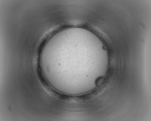 X0000113900736200910151355