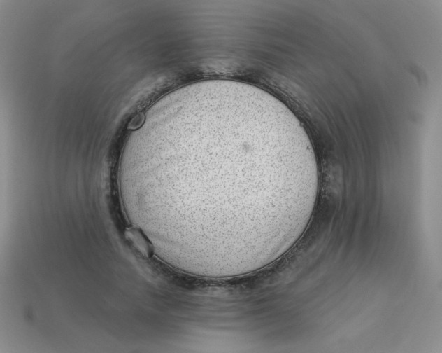 X0000113900738200910151355