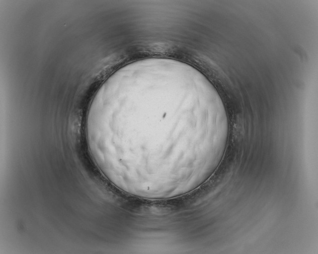 X0000113900739200910151355