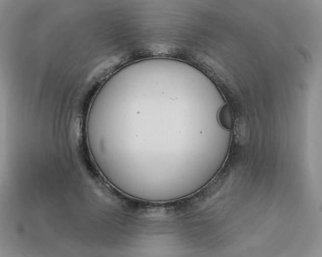 X0000113900740200910151355