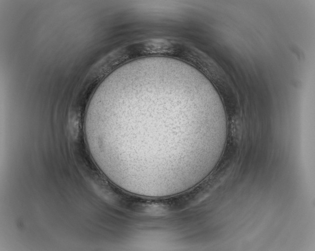 X0000113900741200910151355