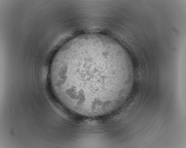 X0000113900742200910151355