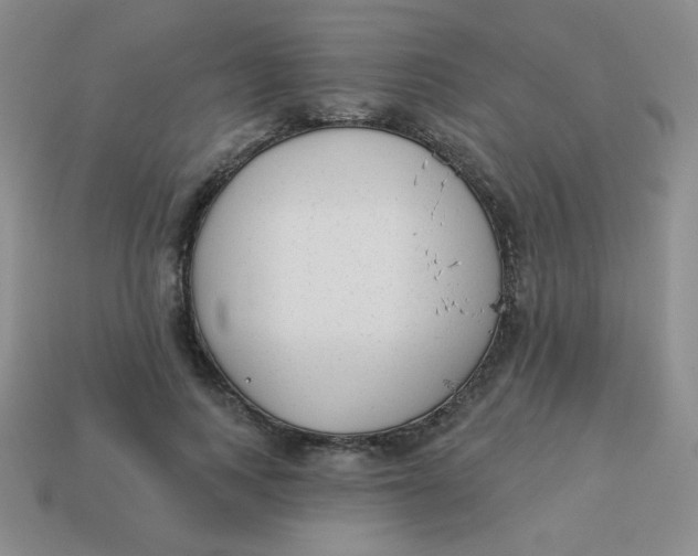 X0000113900743200910151355