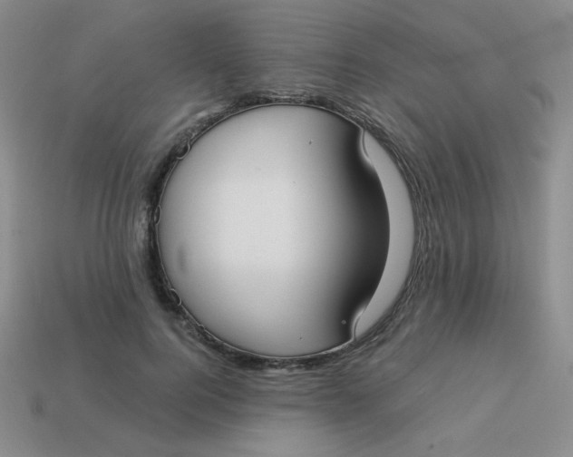 X0000113900744200910151355