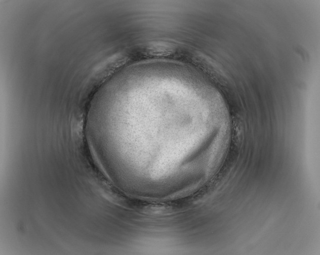 X0000113900745200910151355