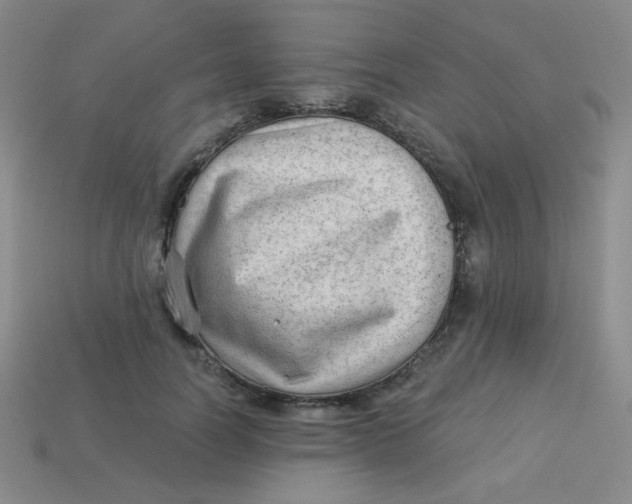 X0000113900746200910151355