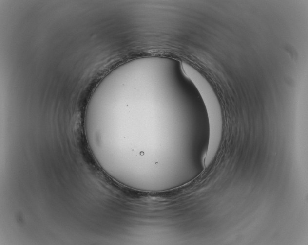 X0000113900748200910151355