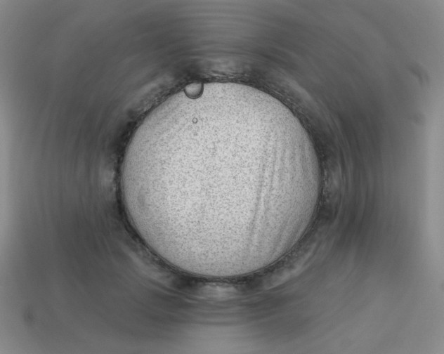 X0000113900749200910151355