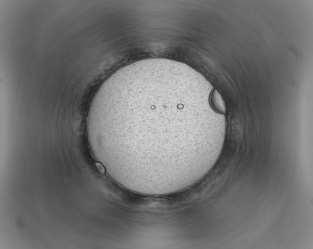 X0000113900750200910151355