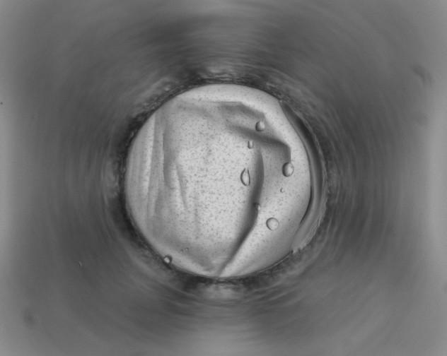 X0000113900751200910151355