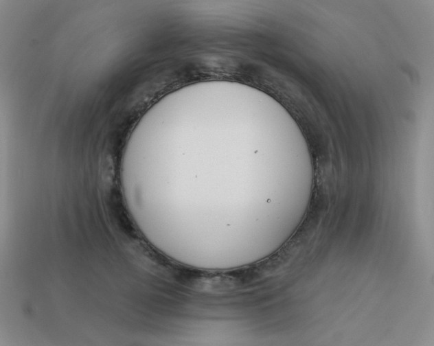 X0000113900752200910151355