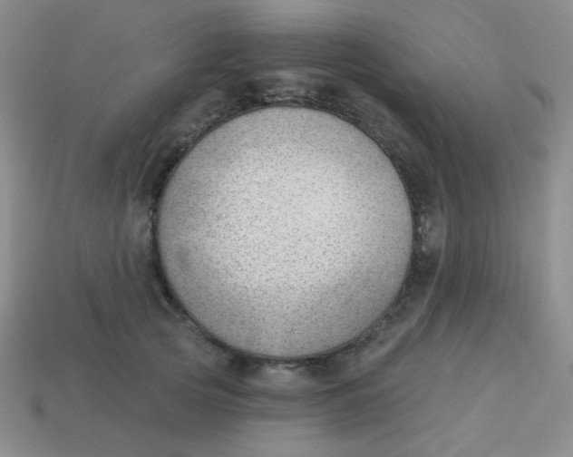 X0000113900753200910151356