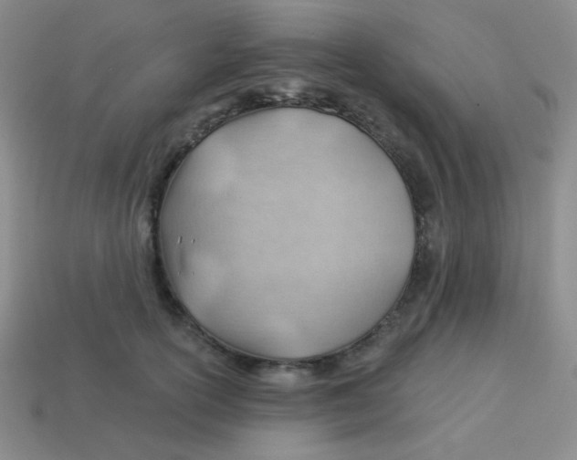 X0000113900754200910151356