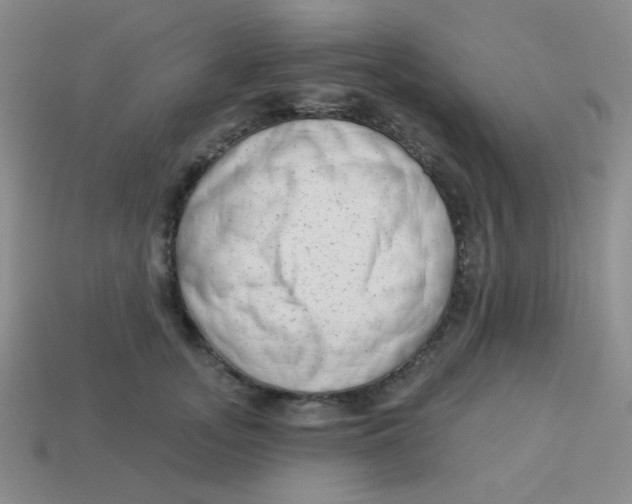 X0000113900755200910151356