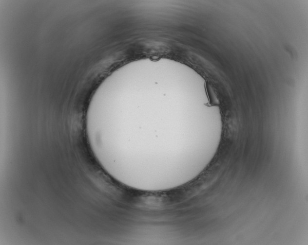 X0000113900756200910151356