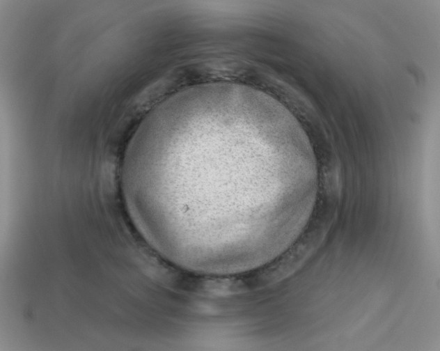 X0000113900757200910151356