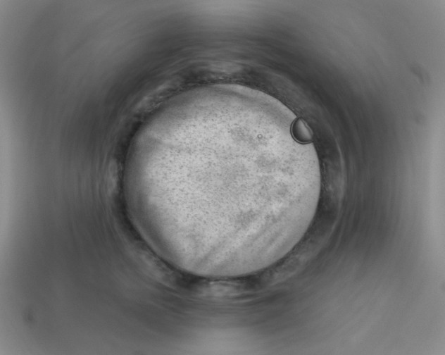 X0000113900758200910151356