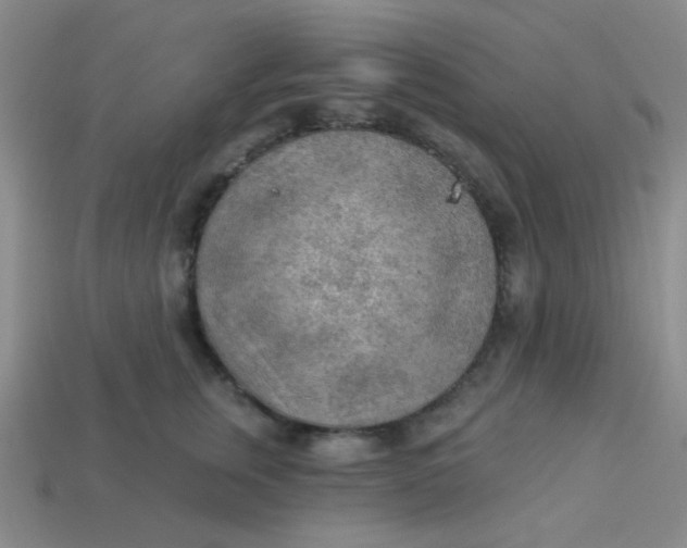 X0000113900759200910151356