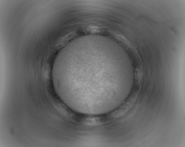 X0000113900760200910151356