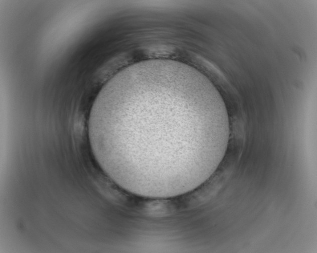 X0000113900761200910151356